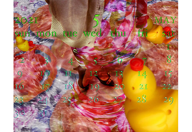 cg008.jpg